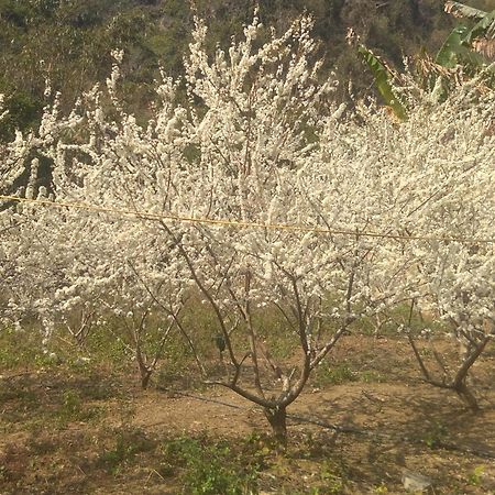 Trieu Chuong Homestay Cao Bang Esterno foto